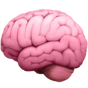 brain photo