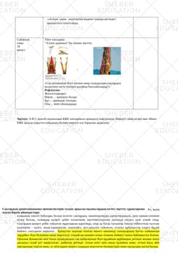 https://s3.sheber.education/media/previews/105374/preview_page_3.jpg